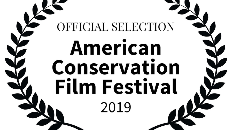 OFFICIALSELECTION ACFF Large 3