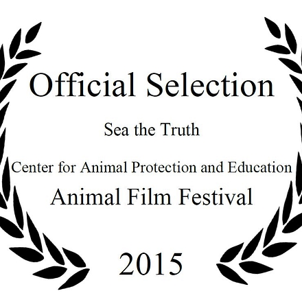 Official Selection