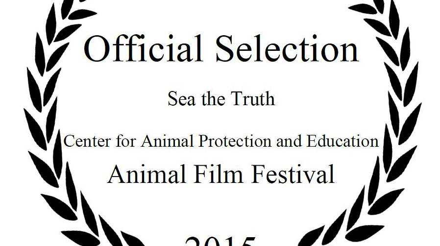 Official Selection