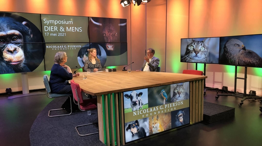 IMG 8424 publicaties scaled