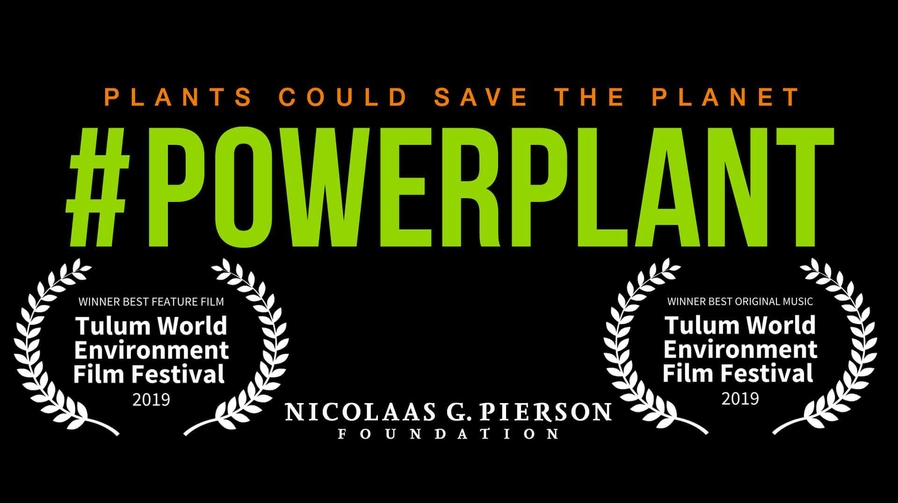 Powerplant Tulum laurels 1