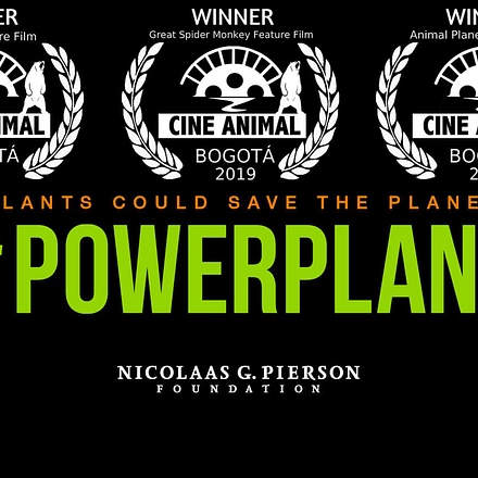 Powerplant cineanimal bogota
