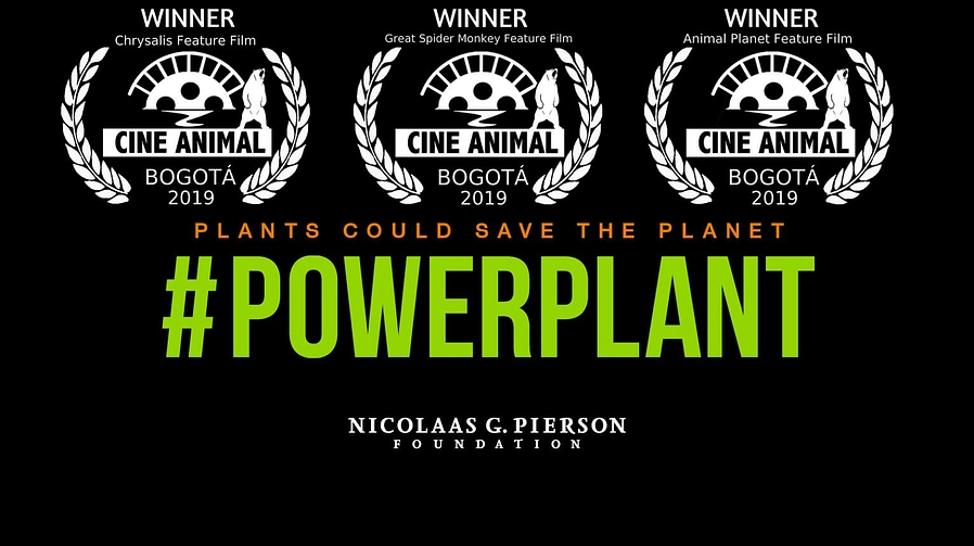 Powerplant cineanimal bogota