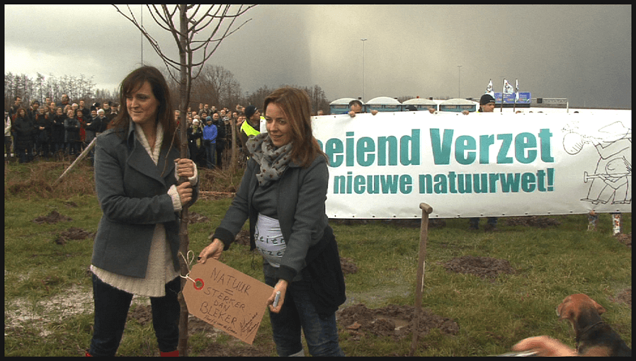 DEHAAS STILL3 1024x582