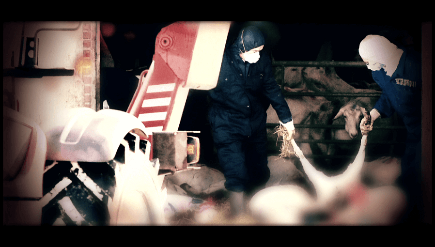 DEHAAS STILL6 1024x582