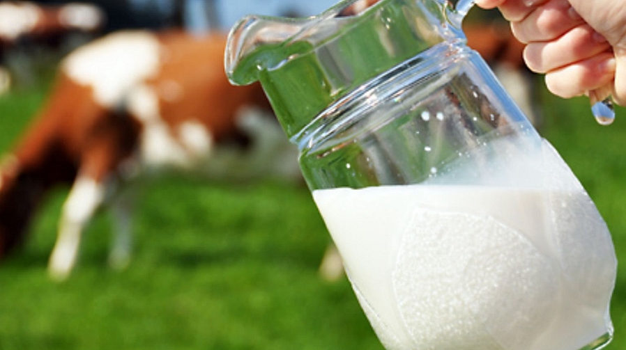 Echte prijs melk 1